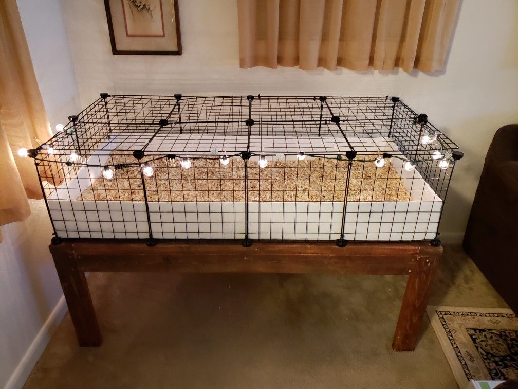 Guinea pig hotsell cage and stand