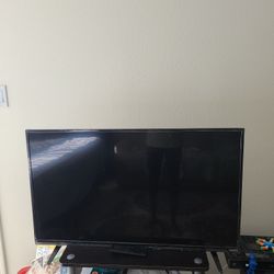 Vizio 39 Inch TV