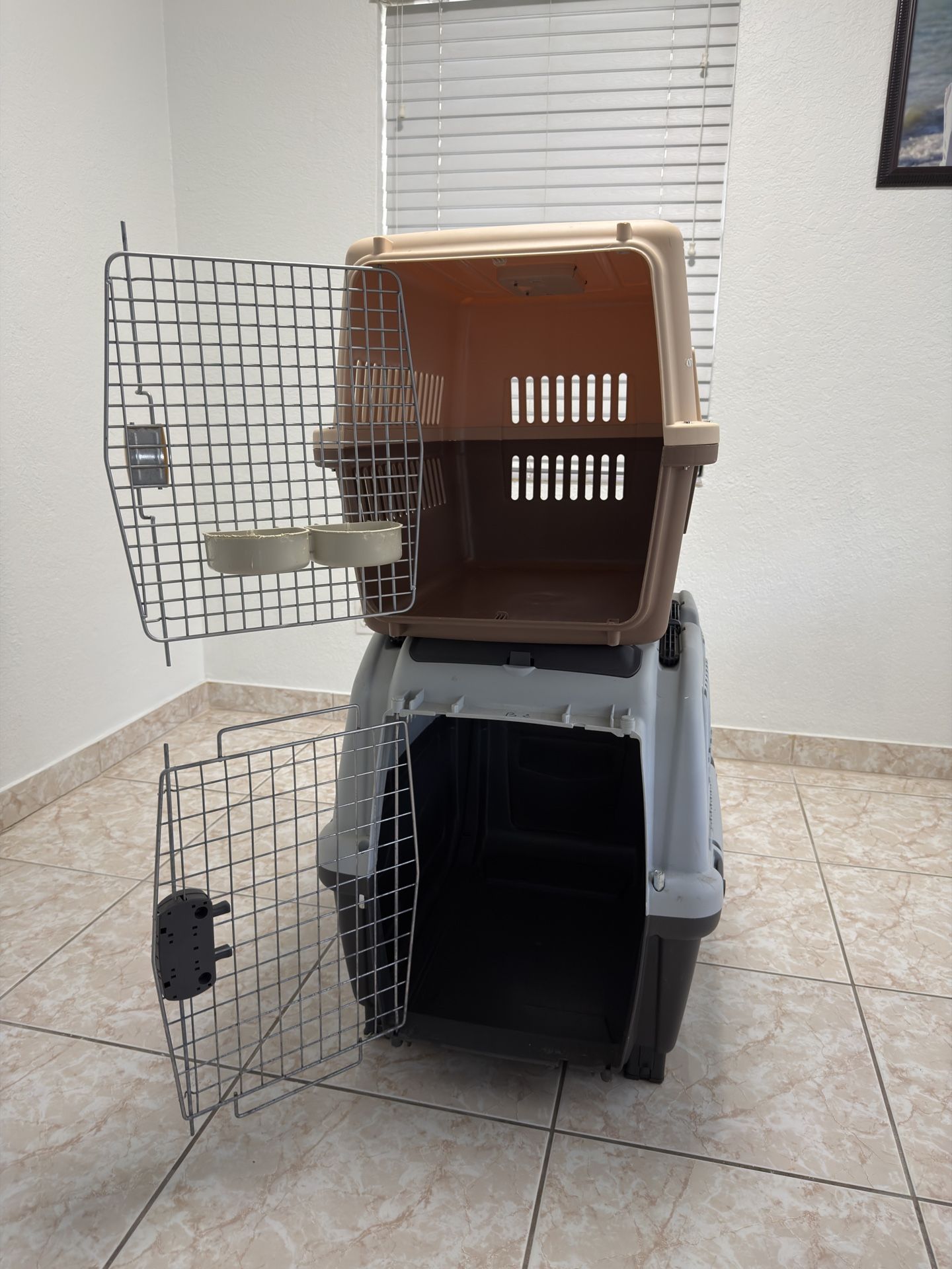 Dog Travel Cages
