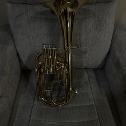 Charcheta JP (willing to trade for a bajoquinto)