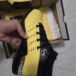 Jordan retro 17 Sole Fly