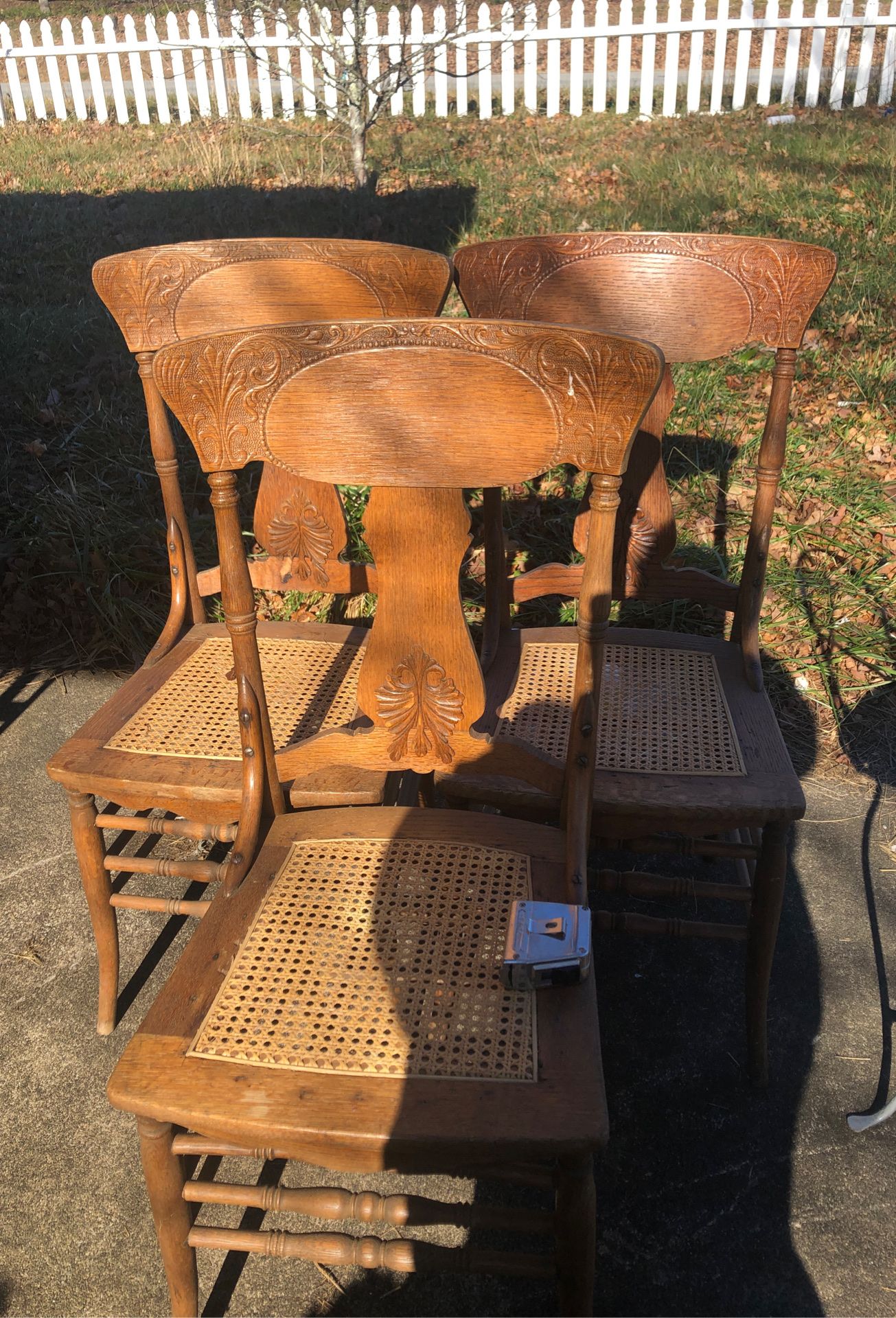 Three oak pressed back chairs. Cain seats