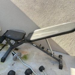 Weight Bench