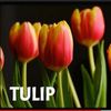 Tulip Mark