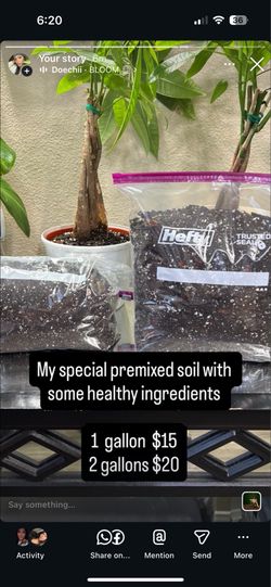 Special premixed soil