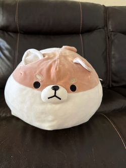 Corgi Squishmallow toy