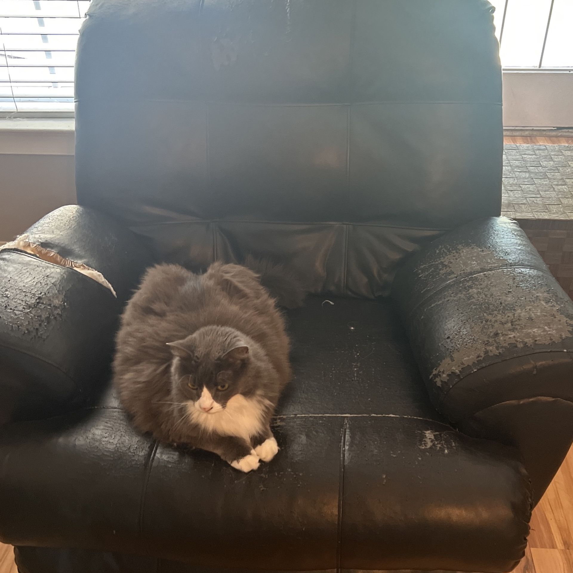 Very Used Furniture . 4 Bar Stools , Recliner , 2 Couches .