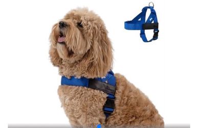 Dog harness (dog friendly company ) #G