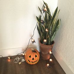 Pre-owned Halloween decoration combo