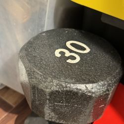 30 Dumbbells 