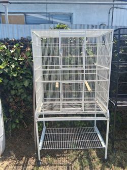 Bird Cage 🐦 🐦🐦