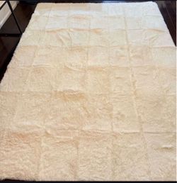 8x10 Carpet $40