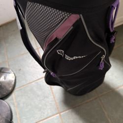 Wilson Golf Bag