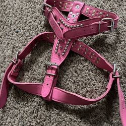 Dog Harness 