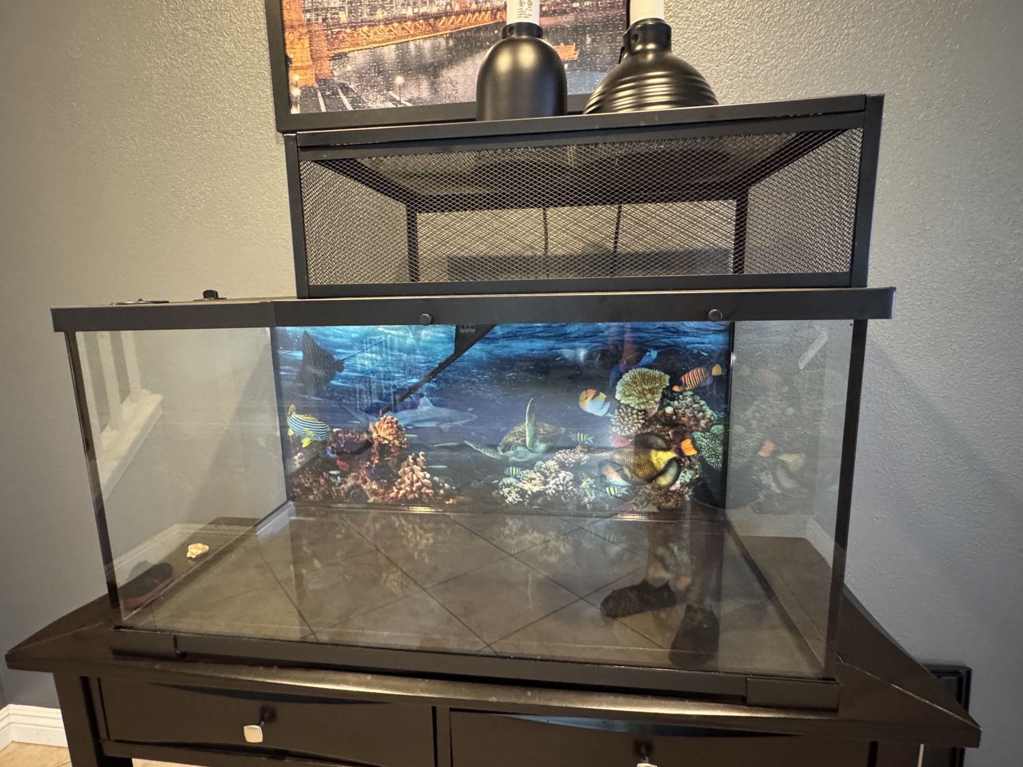 40 Gallon Tank