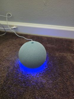 Amazon Echo Dot B7W644