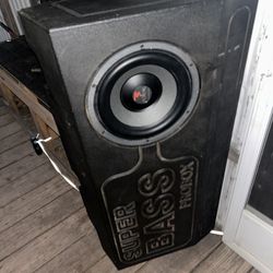 Focal 10 Inch Subwoofer With Probox