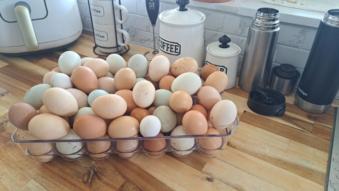 Farm Fresh Eggs