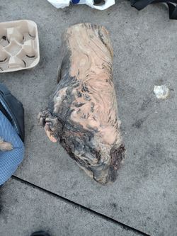 Wood Wood Uncertain What Type For Sale Is Heavy And Solid
