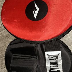 Everlast Focus Punch Mitts