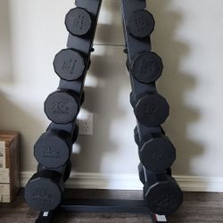 Centr Dumbbell Set with Rack – 210 lbs (Costco, $500 new)Centr Dumbbell Set with Rack – 210 lbs (Costco, $500 new)