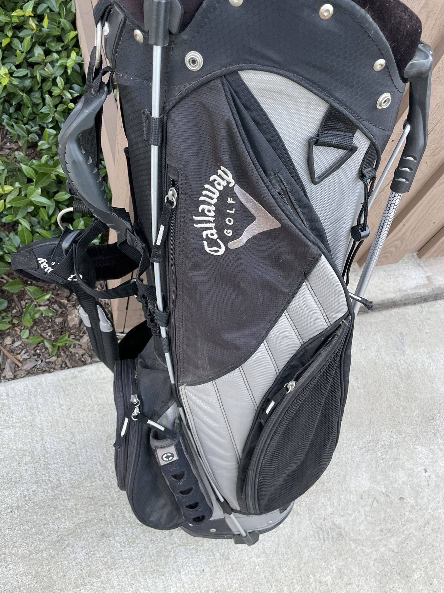 Callaway Big Bertha Golf Stand Bag