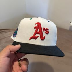 Fitted Hats