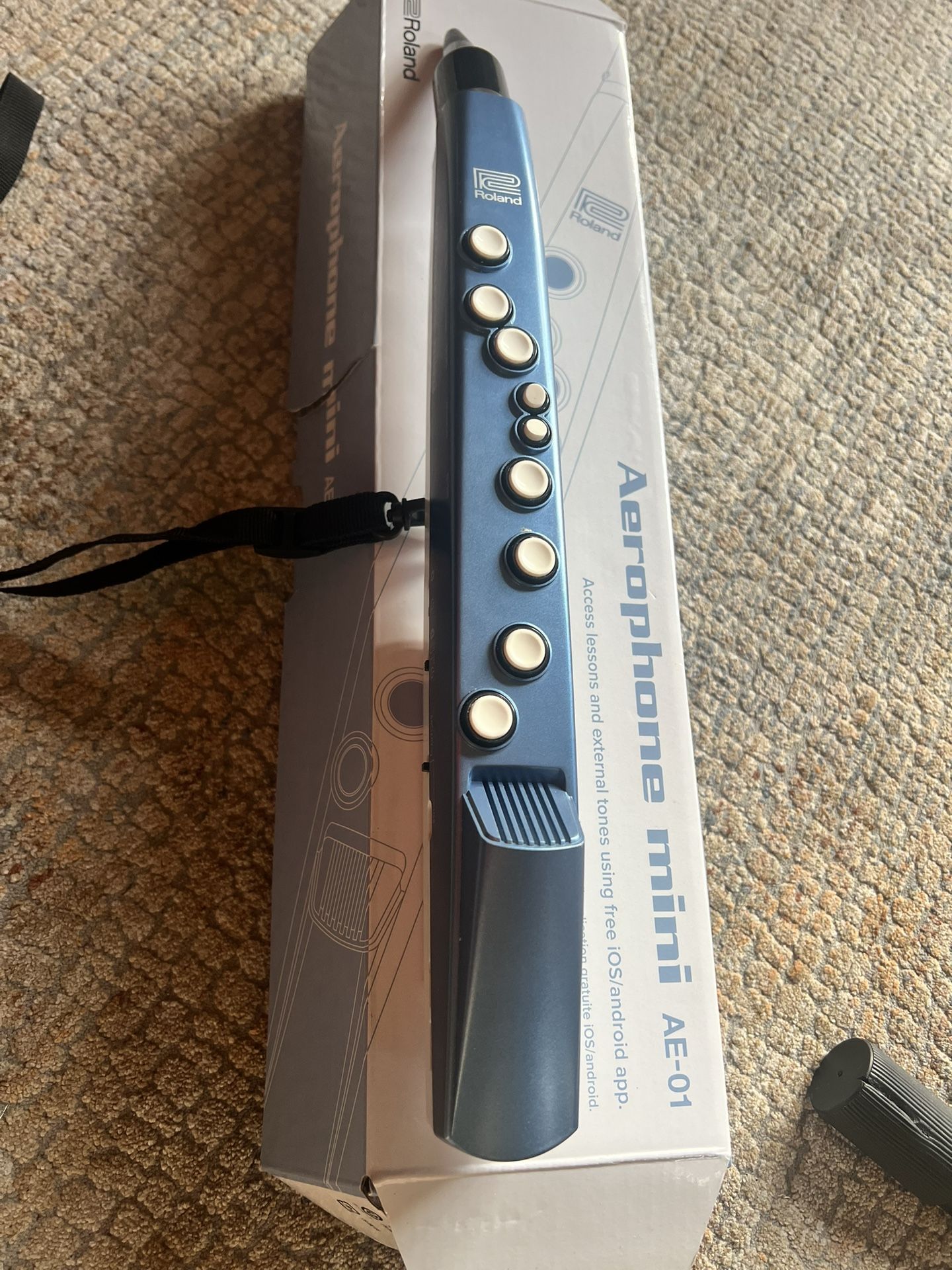 Roland Synth sax Aerophone AE-01