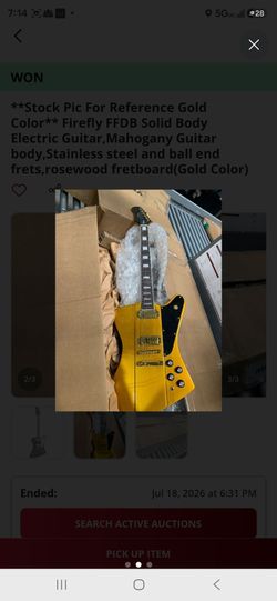 Gold Exploer Guitar