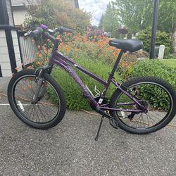 24” Schwinn sidewinder aluminum purple bike bicycle