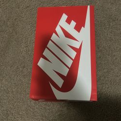 brand new dunks size 6.5
