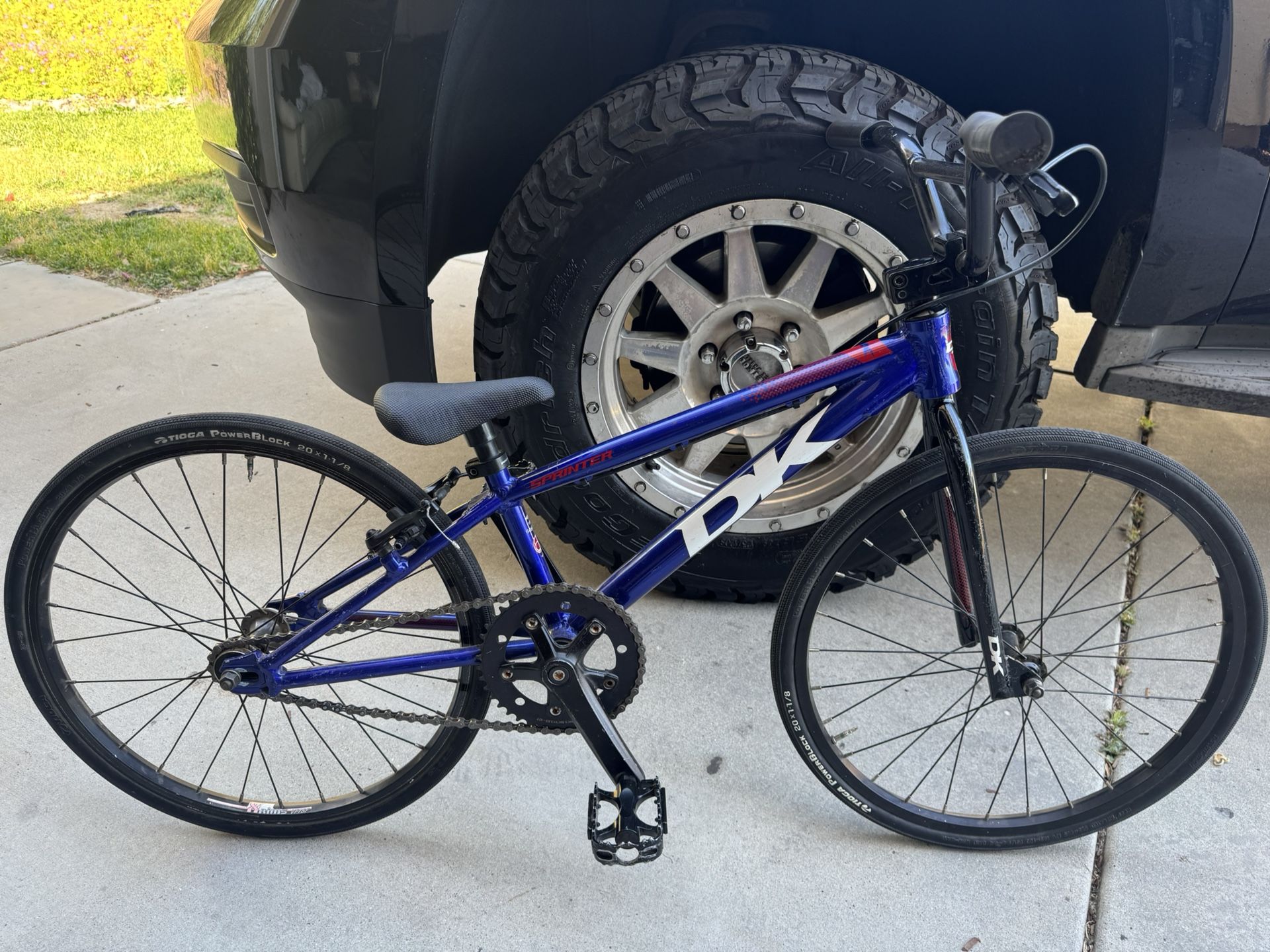 Custom DK Mini BMX Bike