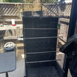 Bird Cages - Multiple Cages 