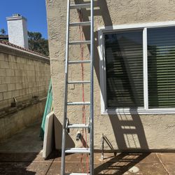 20 Ft Ladder