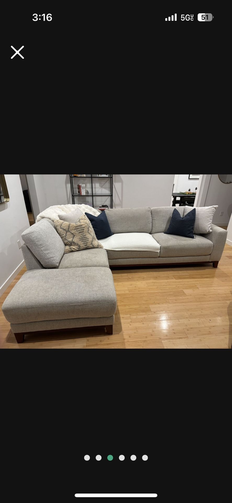 Light Grey Couch