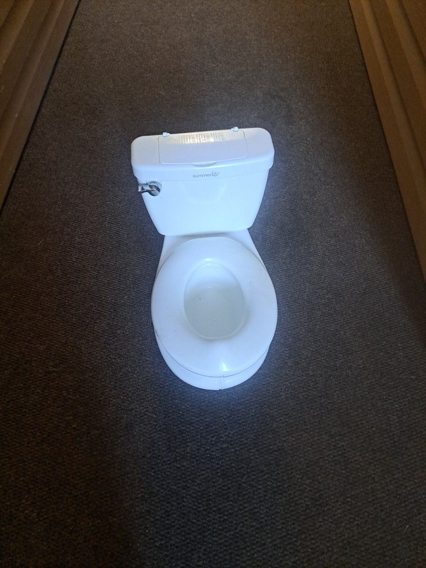 Potty Chair