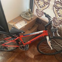 Motorcycle