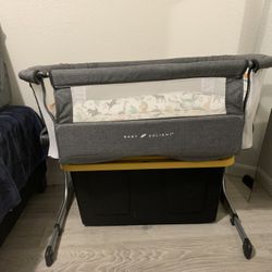 Baby Delight Bassinet 