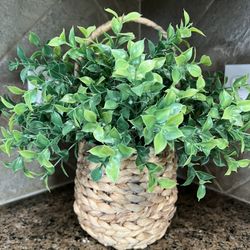 Woven Basket Artificial Plant 
