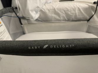 Baby Delight Bassinet