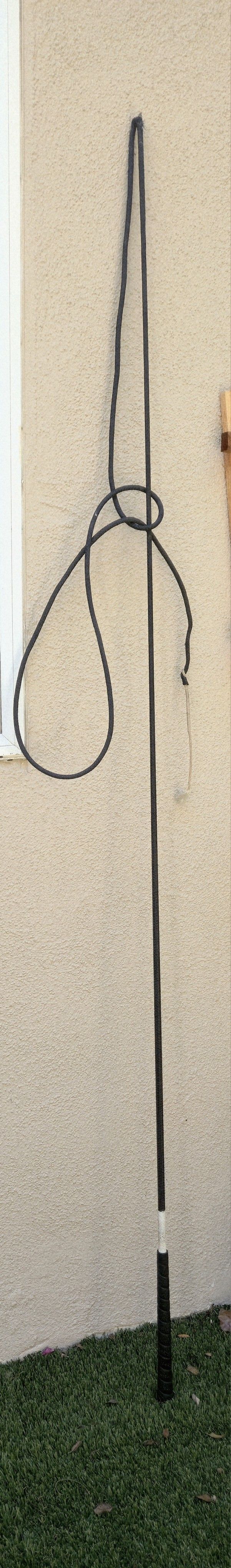 Horse Lunge Whip