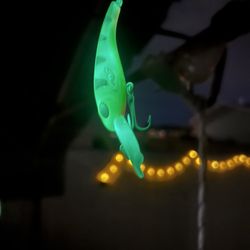 Custom Fishing Lures 