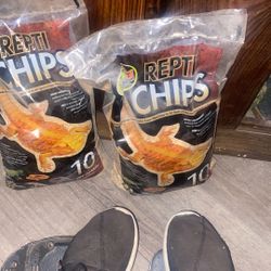 Reptile chips a