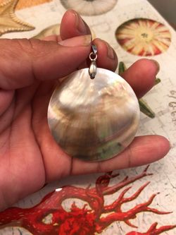 Sea shell pendant 18kgp
