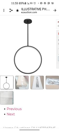 Pendant Ceiling Light