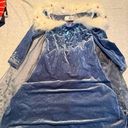 Disney Elsa Dress & Wig  - Kids Size 6/7