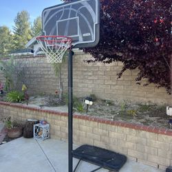 Basketball Hoop