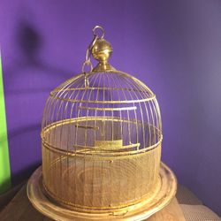 Antique Hendryx Dome Brass Wire Hanging Bird Cage House-$65.00