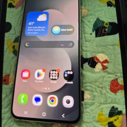 Samsung S25 Fe Unlocked Comes With Service I Just Paid The Bill