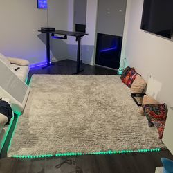 Carpet (original Price 400$)